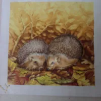 NASTAVLJAMO S DECOUPAGE SRIJEDAMA